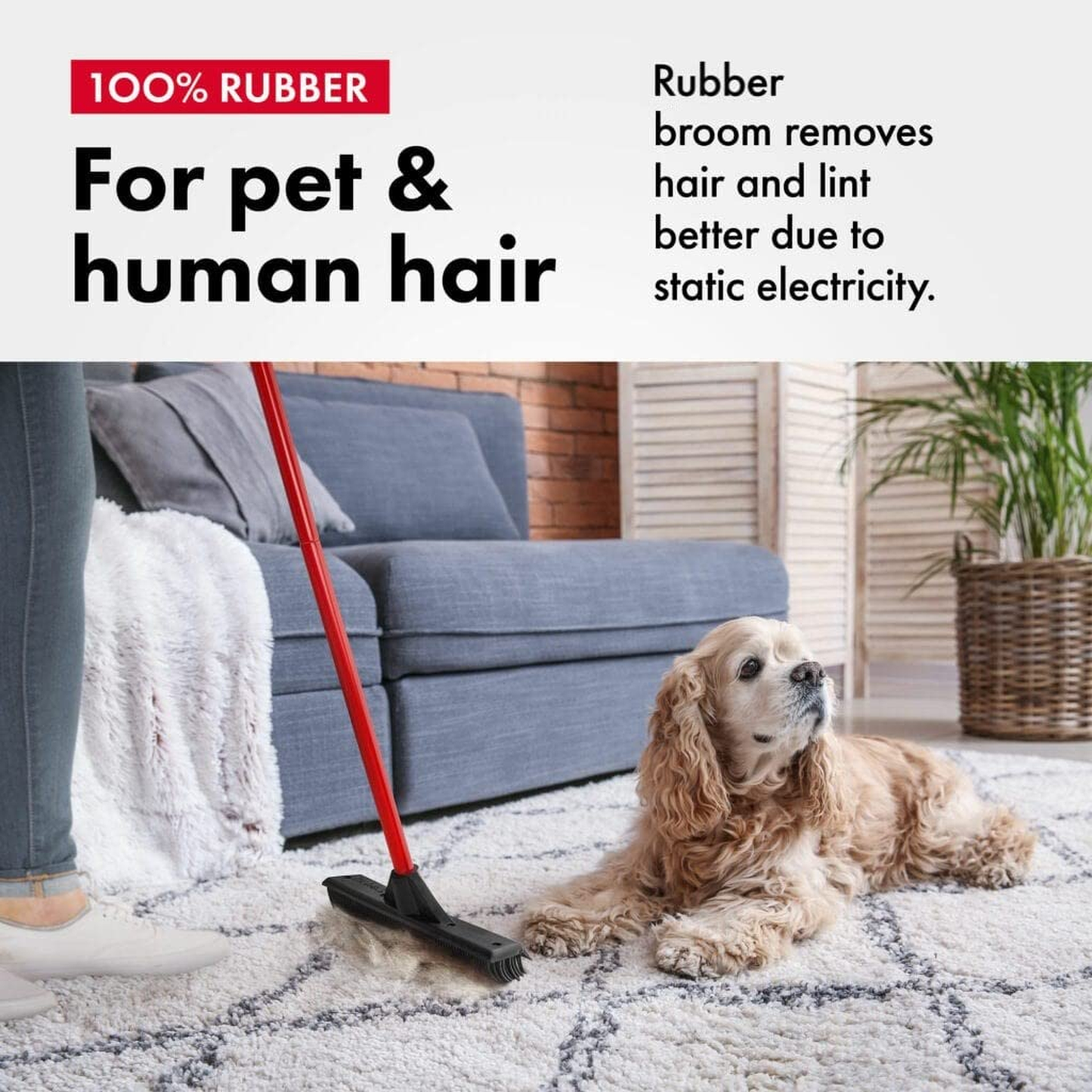 Professional Pet Hair Remover Set with Telescopic Handle and 180° Rotation for Effective Rug and Carpet Maintenance