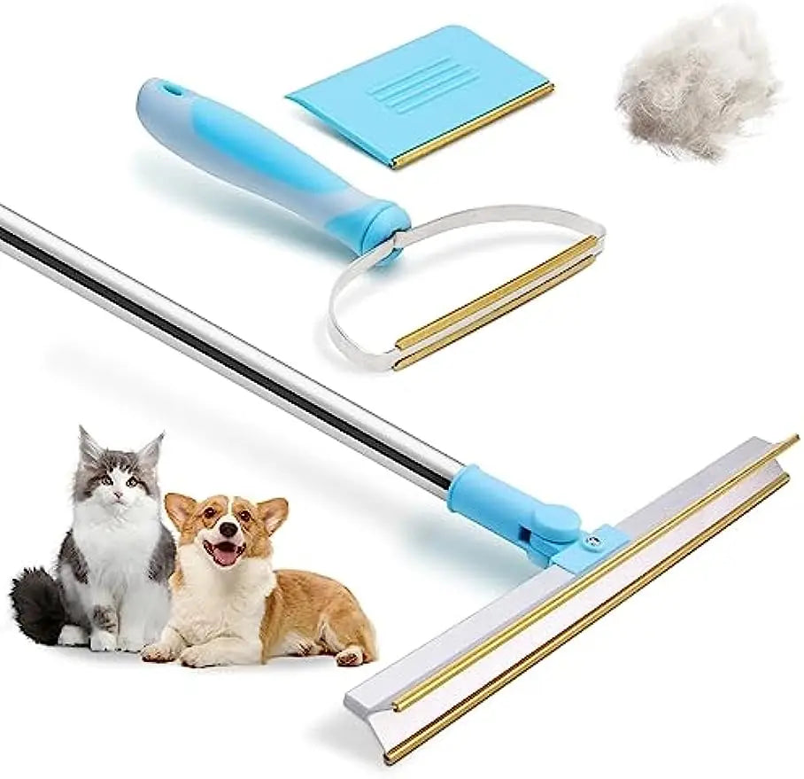 cat rolling camera