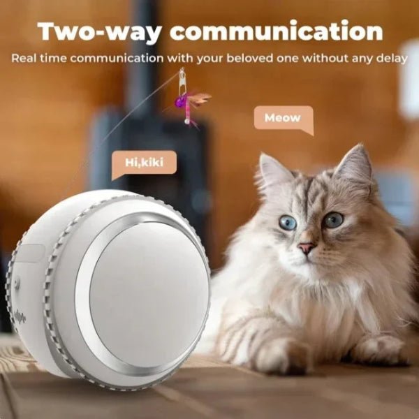 Smart HD Pet Camera with Toy Ball, Laser & Sound Features - Paws World
